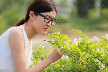 大地影视MV免费观看音乐视频